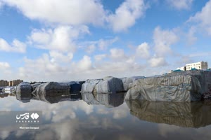 آبکش شدن «برنج‌های وارداتی» در زاهدان