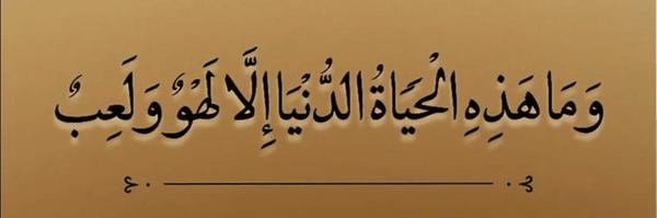 تصویر سربرگ نمایه‌ی ‌زهرا عباسی‌