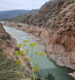 فصل زیبای رودبال از راه رسید