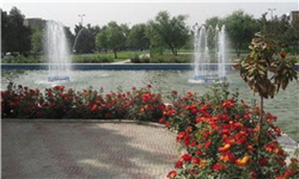 فضای سبز