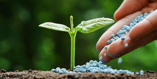 کود شیمیایی