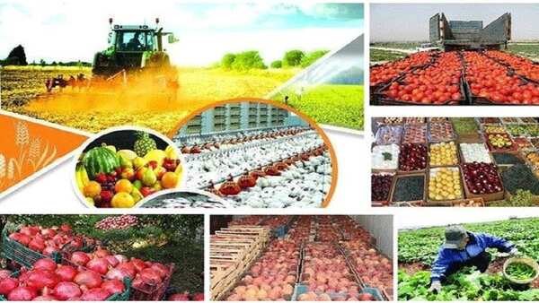 چاه کشاورزی خوشه بست