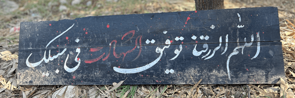 تصویر سربرگ نمایه‌ی ‌Zahereh Darzian Azizi‌