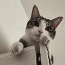 تصویر نمایه‌ی ‌مهندس‌