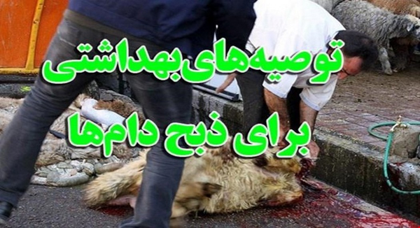 ذبح دام