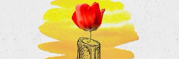 تصویر سربرگ نمایه‌ی ‌سردبیر سایت ضیاءالصالحین‌