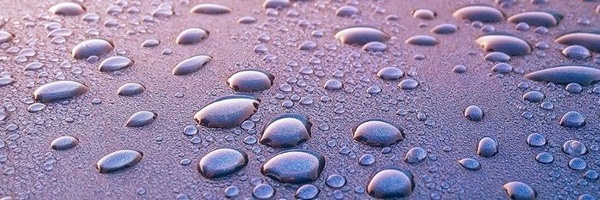 تصویر سربرگ نمایه‌ی ‌علی عادلی‌