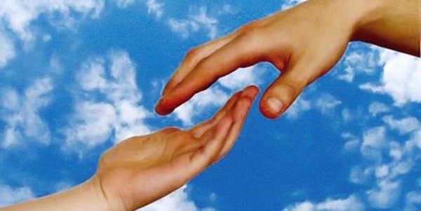 حامی