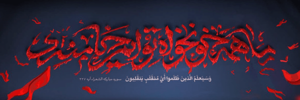 تصویر سربرگ نمایه‌ی ‌محمد علی امین‌