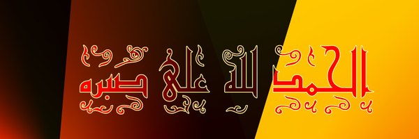 تصویر سربرگ نمایه‌ی ‌رضا ویسی‌