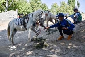 کاروان اسب‌داران حرم‌ تا حرم خراسان‌شمالی به سوی آستان رضوی رهسپار شدند