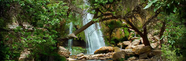 تصویر سربرگ نمایه‌ی ‌نازنین زهرا خواجه‌