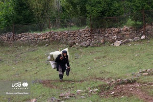 بانوان روستایی مازندران 