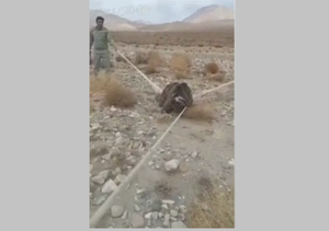 خرس سمنان
