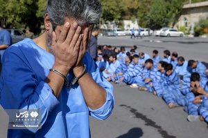 طرح دستگیری سارقین