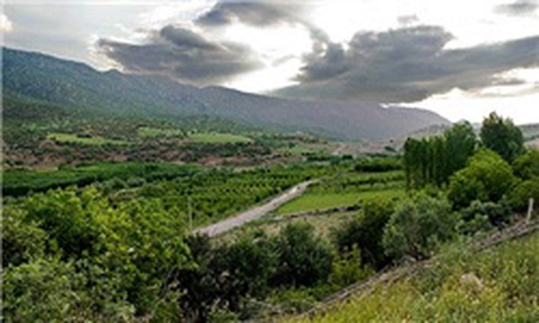 طبیعت بهاری کرمانشاه