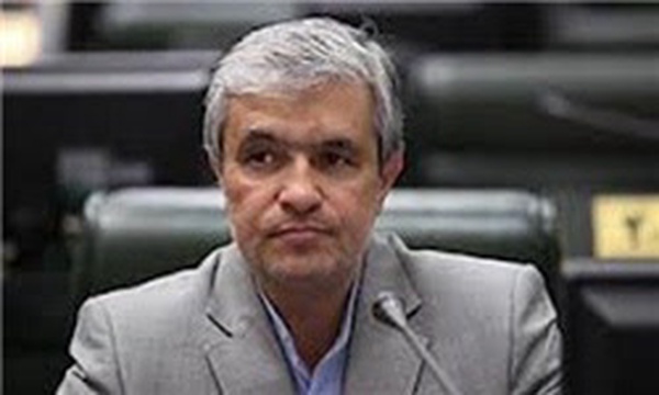محسنی ثانی، نماینده سبزوار
