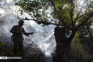 خاموش کردن آتش با امکانات اولیه  توسط نیرو های محیط زیست استان گلستان