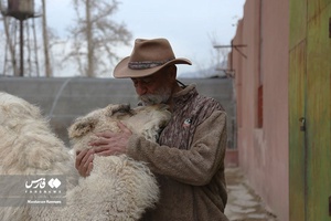 حیوانات «خانه نوری»