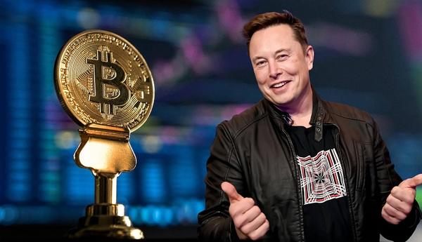 ایلان ماسک بنیانگذار تسلا خودرو