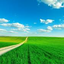 تصویر نمایه‌ی ‌عبدالله تراب زاده‌