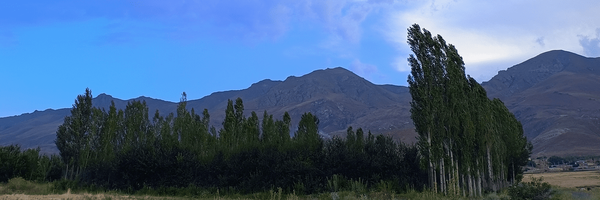 تصویر سربرگ نمایه‌ی ‌عبدالمجید غیبی‌