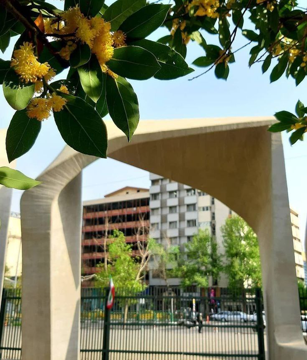 دانشگاه تهران