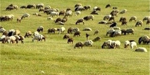 مرتع